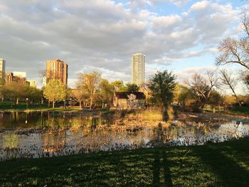 Reflection of trees in water