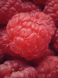 Full frame shot of red rose in water