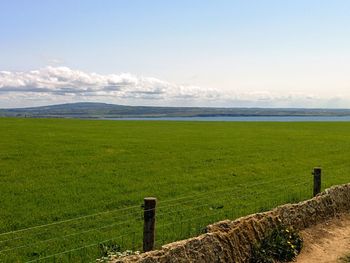 Scenic view of grassy field against sky