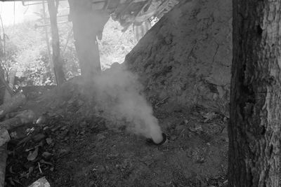 High angle view of smoke emitting from trees in forest