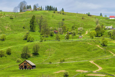 Scenic view of green landscape against sky