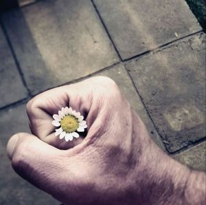 Close-up of woman holding flower