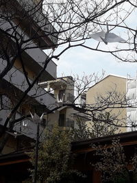 Low angle view of trees and building against sky