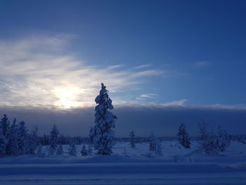 Trees on snow covered field against sky