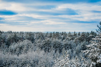 Scenic view of snow covered land against sky