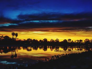 Silhouette of trees during sunset