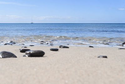 Scenic view of beach against sky