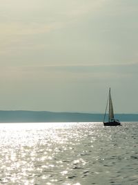 Sailboat sailing on sea against sky