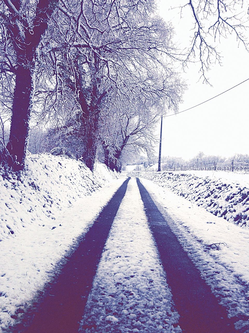 bare tree, the way forward, tree, winter, snow, cold temperature, season, diminishing perspective, branch, built structure, vanishing point, architecture, weather, covering, building exterior, nature, road, tree trunk, day, outdoors