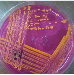 Close-up high angle view of text