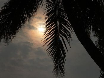 Low angle view of silhouette palm trees against sky