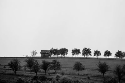 View of trees against clear sky