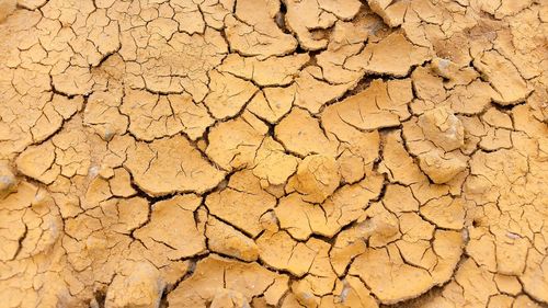 Full frame shot of cracked field