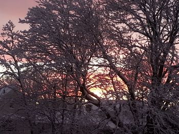 Low angle view of silhouette trees against sky