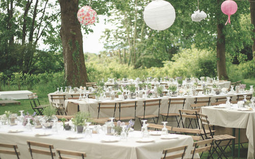 Table and chairs and plants against trees