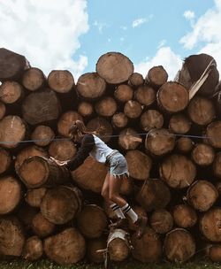 Stack of logs in forest