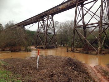 View of river with trees in background