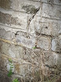 Close up of stone wall