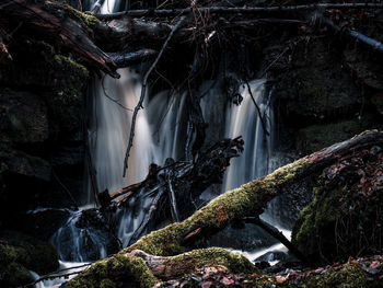 Panoramic view of waterfall in forest