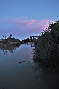 Scenic view of lake against sky at sunset