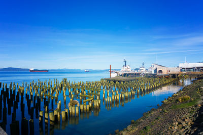 Sailboats moored at harbor against blue sky