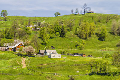 Houses in a field