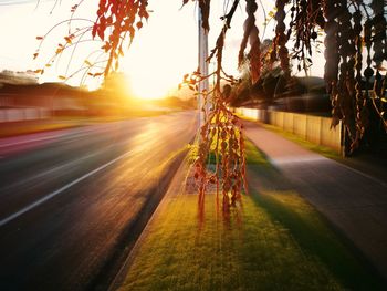 View of road in city at sunset