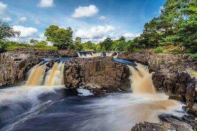 Scenic view of waterfall in forest