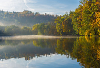 Autumn morning