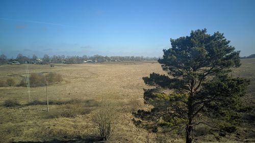 Trees on field against clear sky