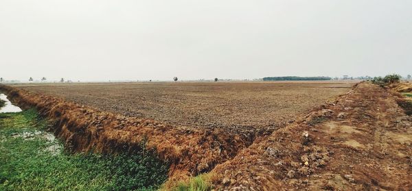 Scenic view of agricultural field against clear sky