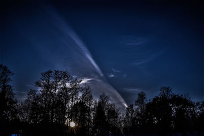 Low angle view of trees against sky at night