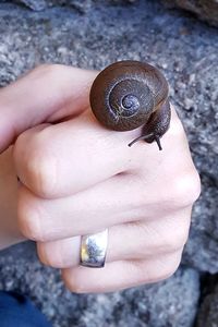 Close-up of snail on hand