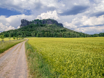 Scenic view of road amidst field against sky