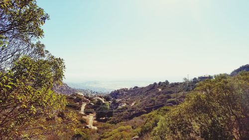 Scenic view of landscape against clear sky