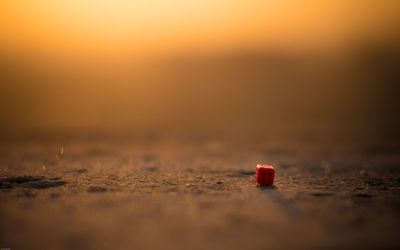 Surface level of stones at sunset