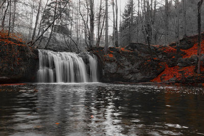 Scenic view of waterfall in forest