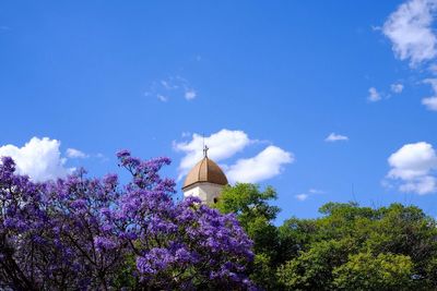 Low angle view of flowering tree by church against sky