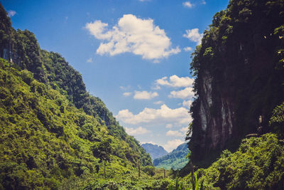 Panoramic view of trees and mountains against sky