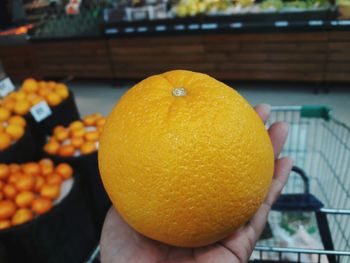 Cropped hand holding orange in market