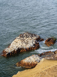 High angle view of rocks on sea