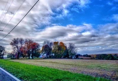 Trees on field against sky