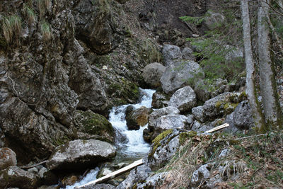 Stream flowing through rocks in forest