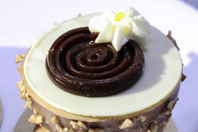 Close-up of chocolate cake on plate