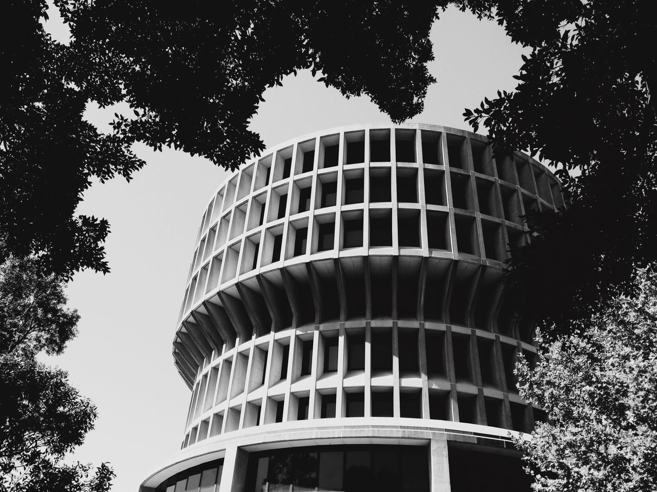 architecture, built structure, building exterior, low angle view, tree, modern, clear sky, city, tall - high, tower, building, office building, growth, skyscraper, branch, day, no people, outdoors, sky, window