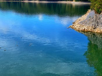 View of birds swimming in lake