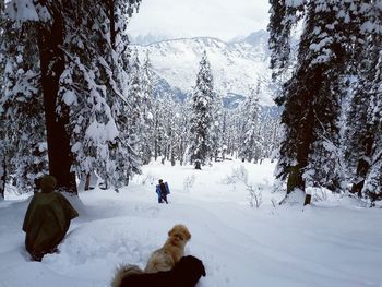 Rear view of people walking on snow covered land