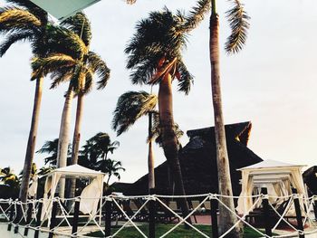 Low angle view of coconut palm trees against sky