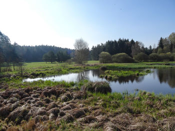 Scenic view of grass and trees against sky