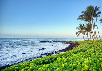 Scenic view of sea against clear sky